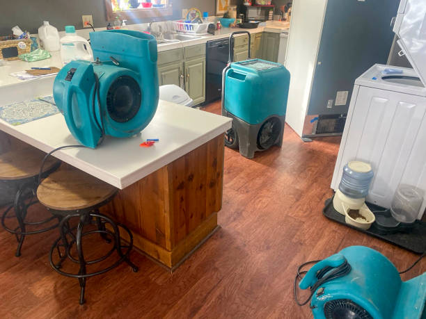 Carpet water damage restoration in Sugarland Run, VA
