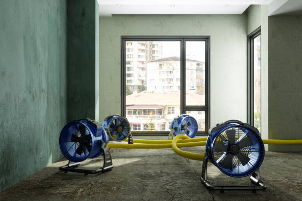 Best Basement water damage restoration  in Sugarland Run, VA